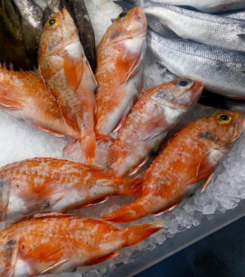 cabrachos
