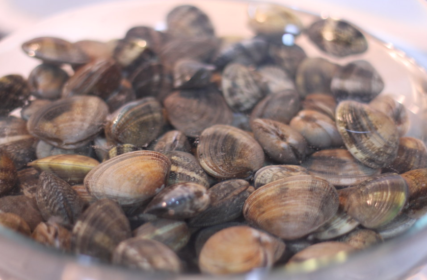 Garbanzos a la marinera con almejas y setas