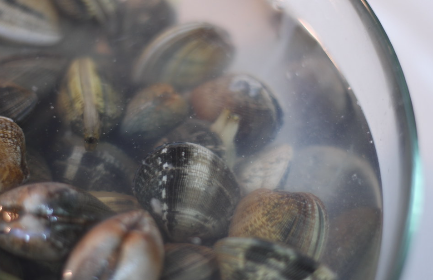 Garbanzos a la marinera con almejas y setas