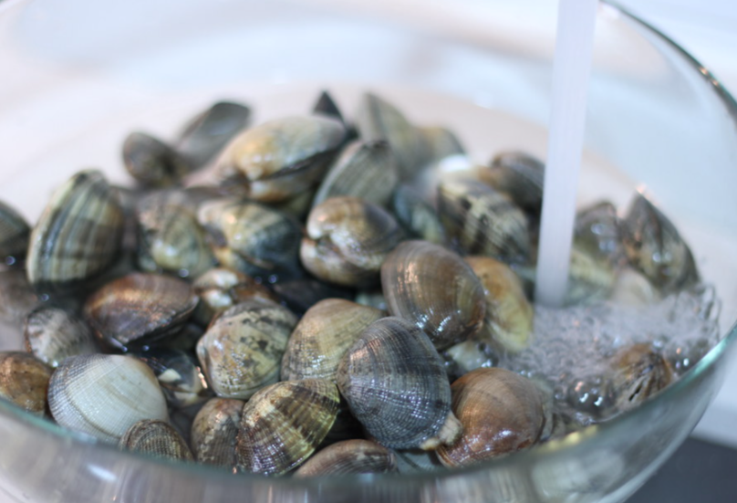 Garbanzos a la marinera con almejas y setas