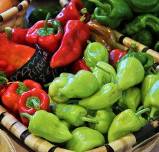 Pimientos