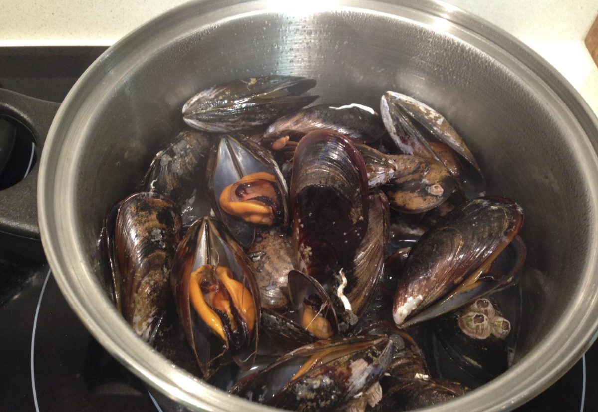 Calamares rellenos de mejillones