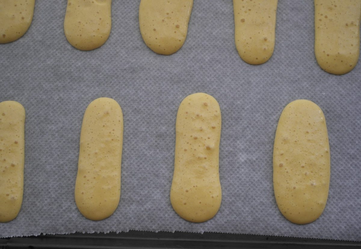 Bizcochos de soletilla