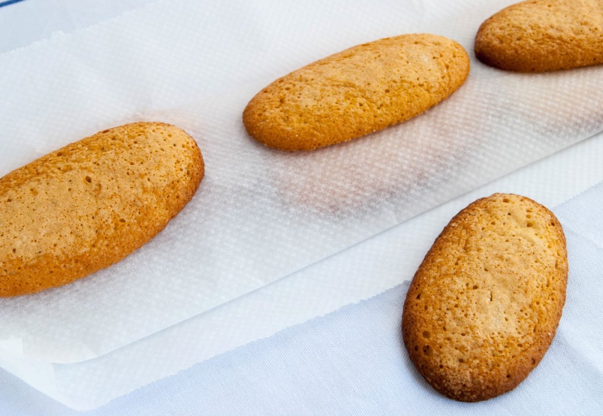 Bizcochos de soletilla