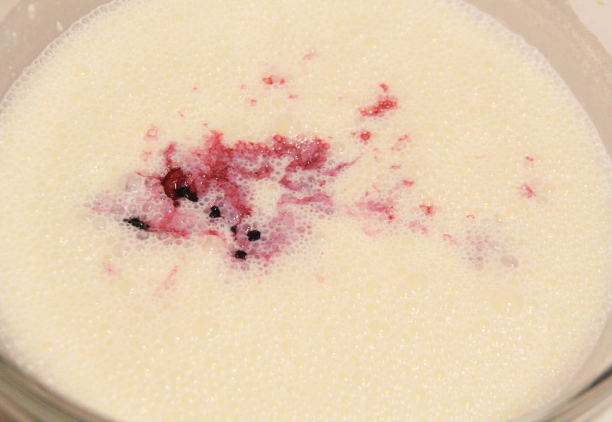 Pudin de queso con frutos rojos