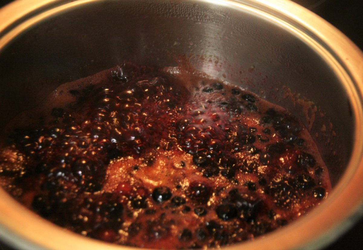 Pudin de queso con frutos rojos