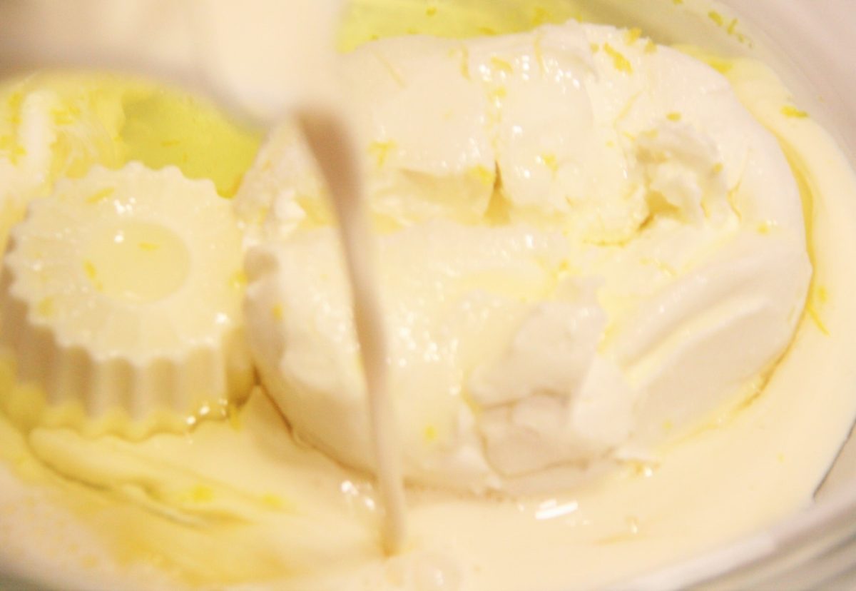 Pudin de queso con frutos rojos