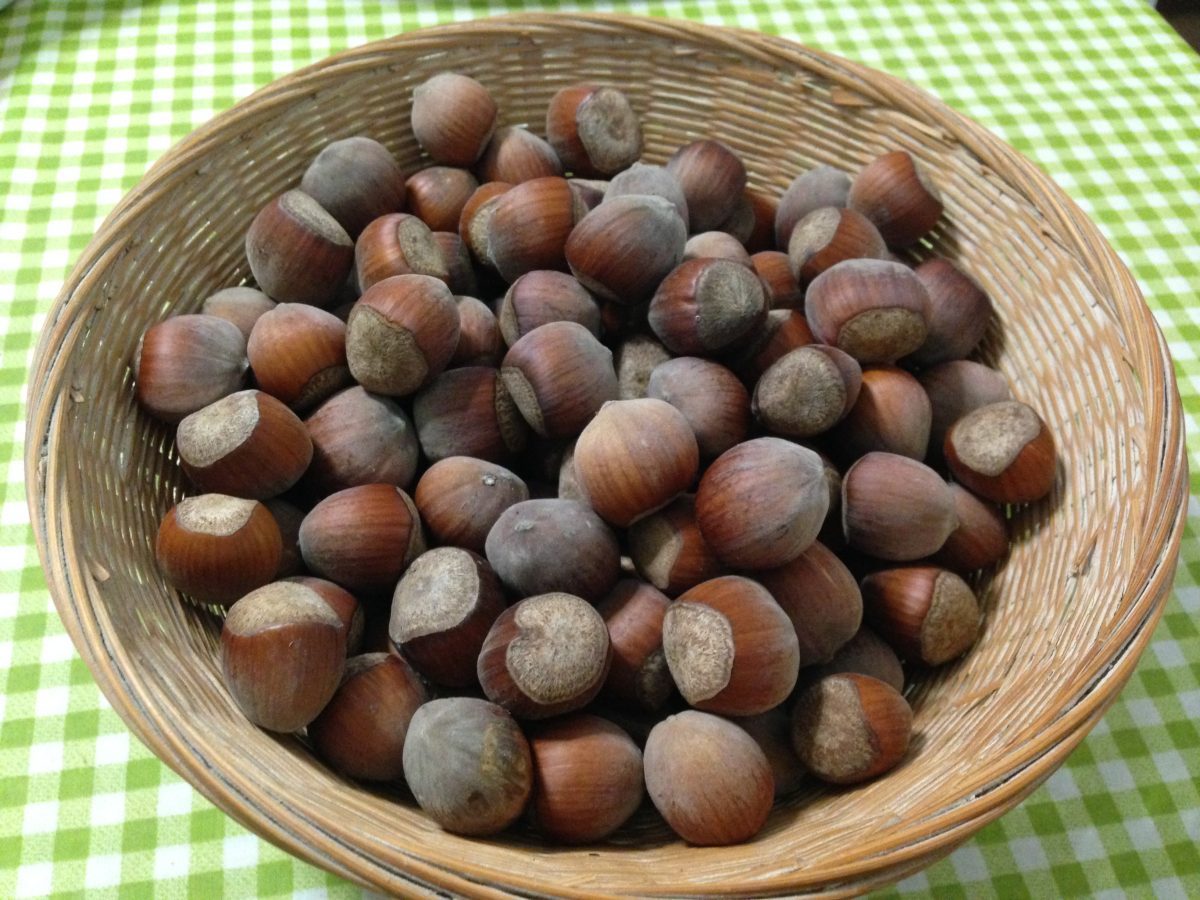 Bizcocho casero de avellanas