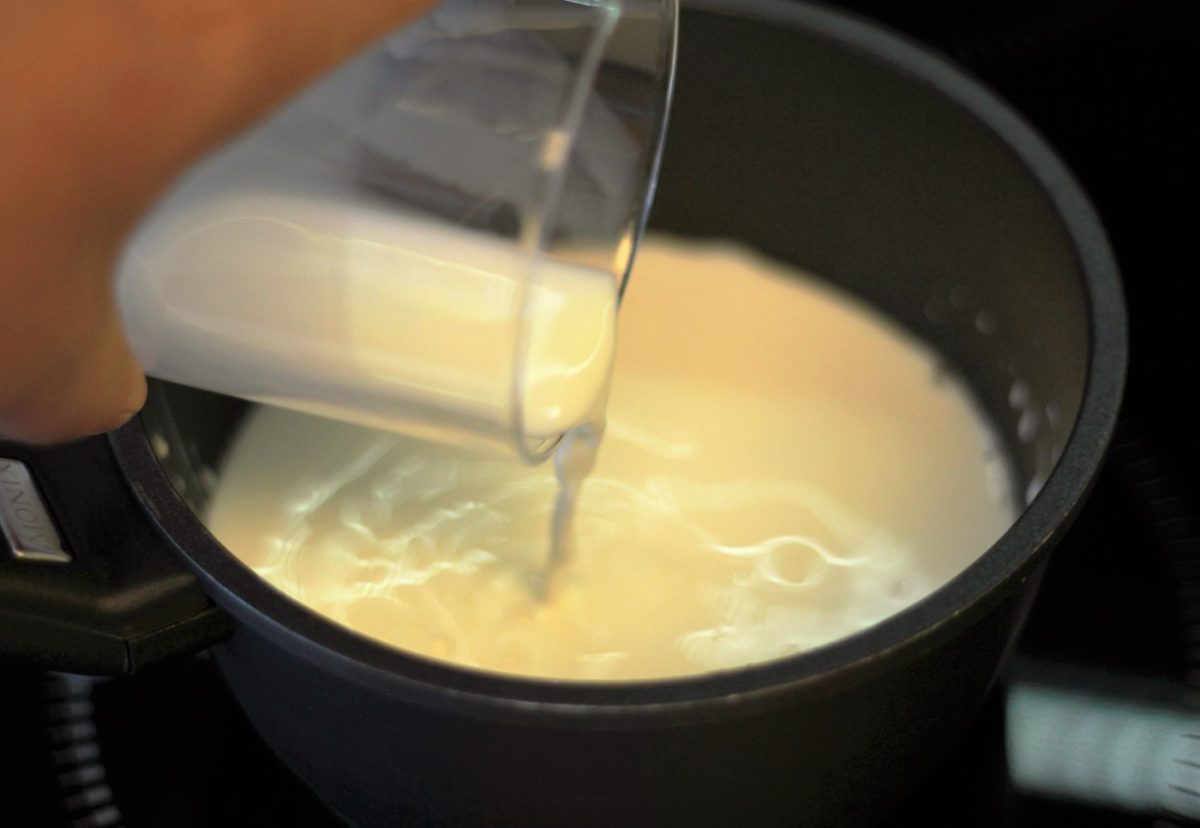 Panacota con kiwi (Panna cotta)
