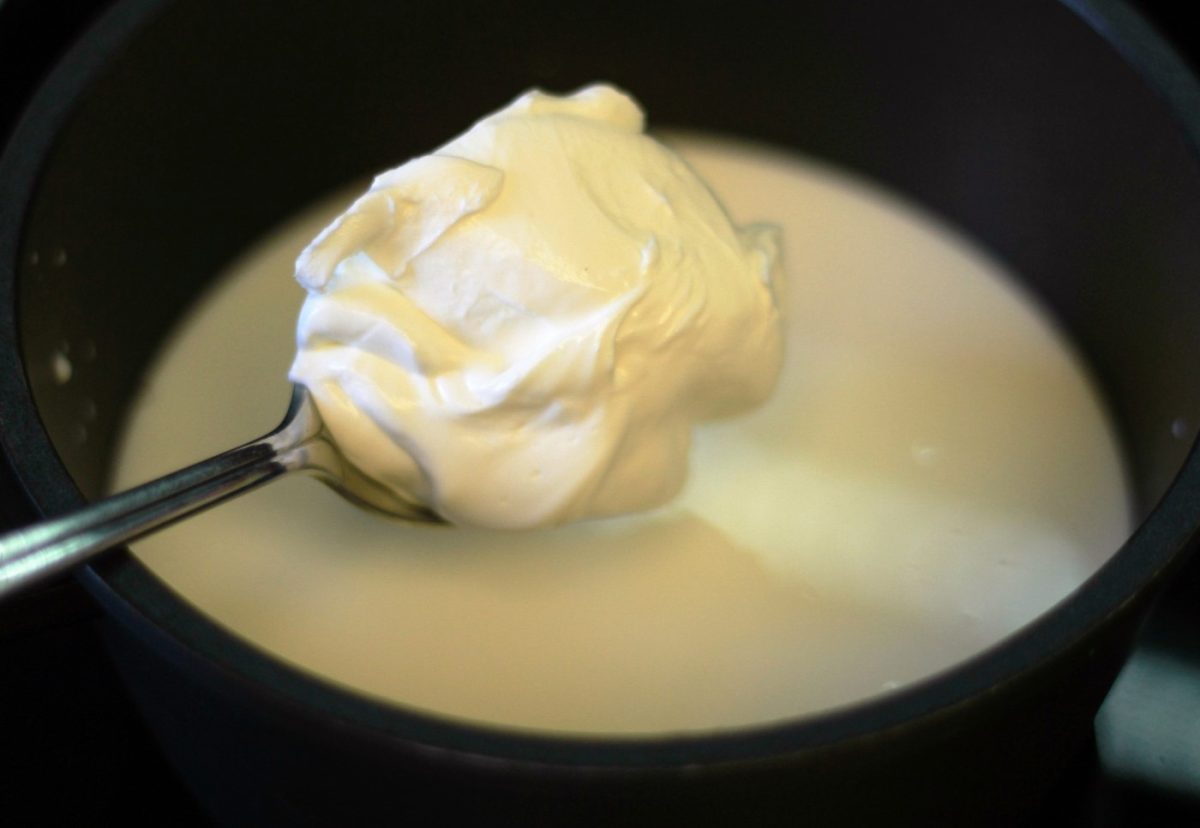 Panacota con kiwi (Panna cotta)