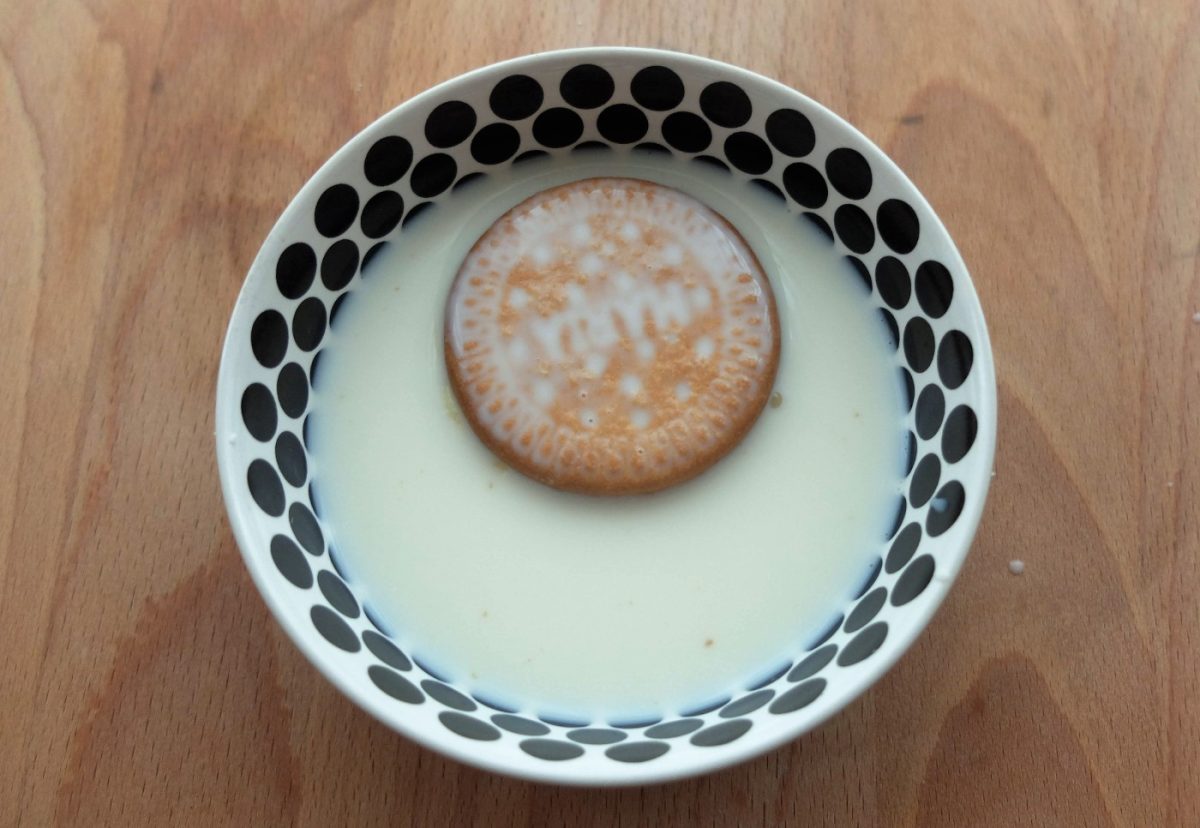 Sándwiches de galleta