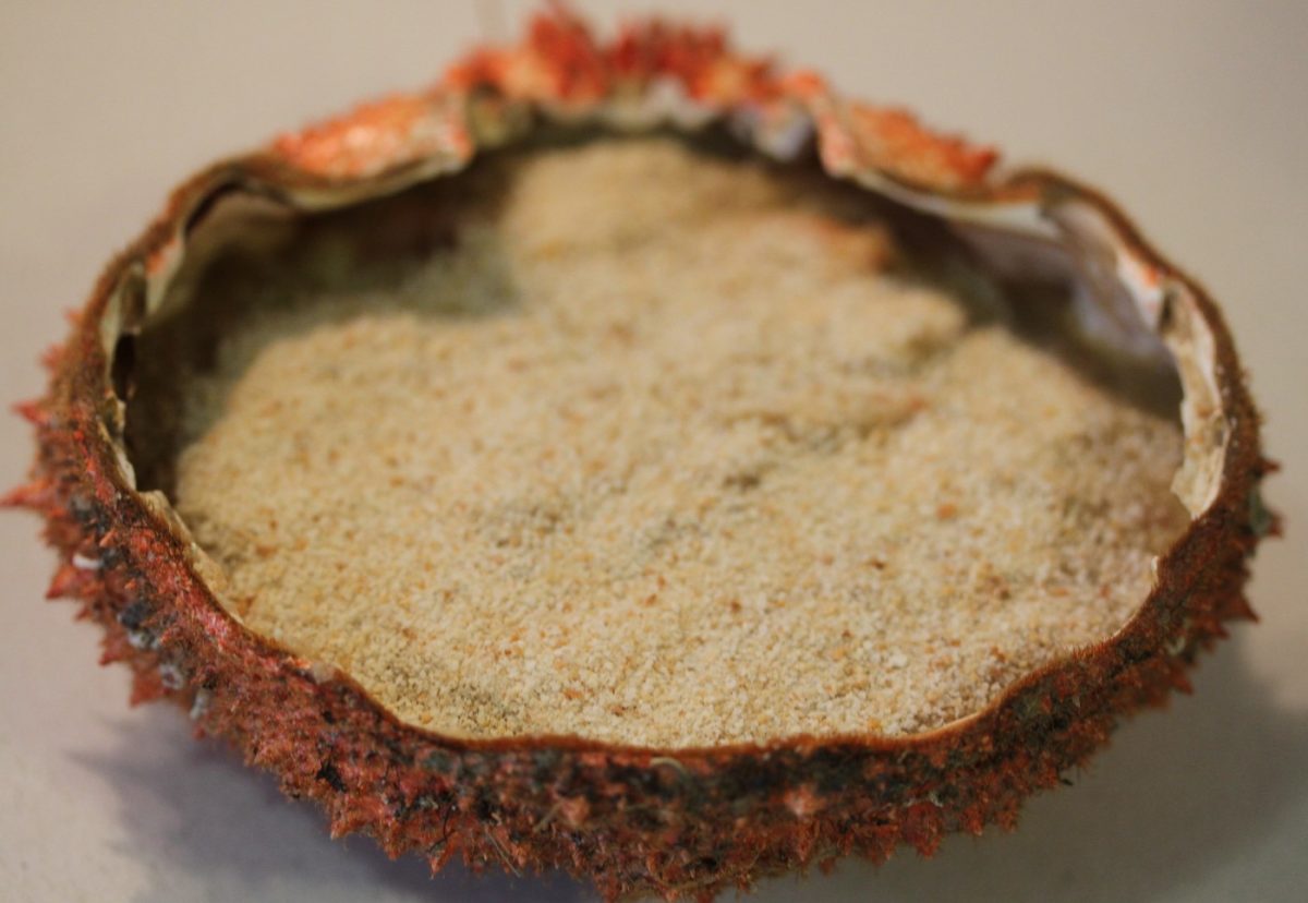 Centolla o centollo gratinado con langostinos y lacón