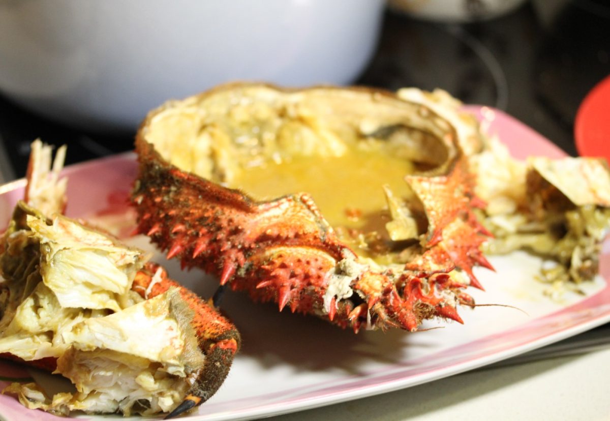 Centolla o centollo gratinado con langostinos y lacón