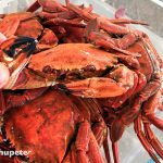 Cómo cocer y abrir nécoras. Receta de marisco