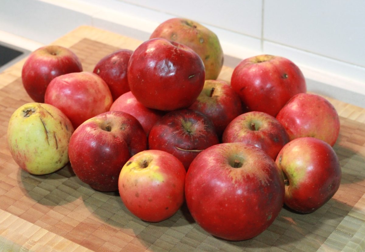 Bizcocho de manzana con nueces