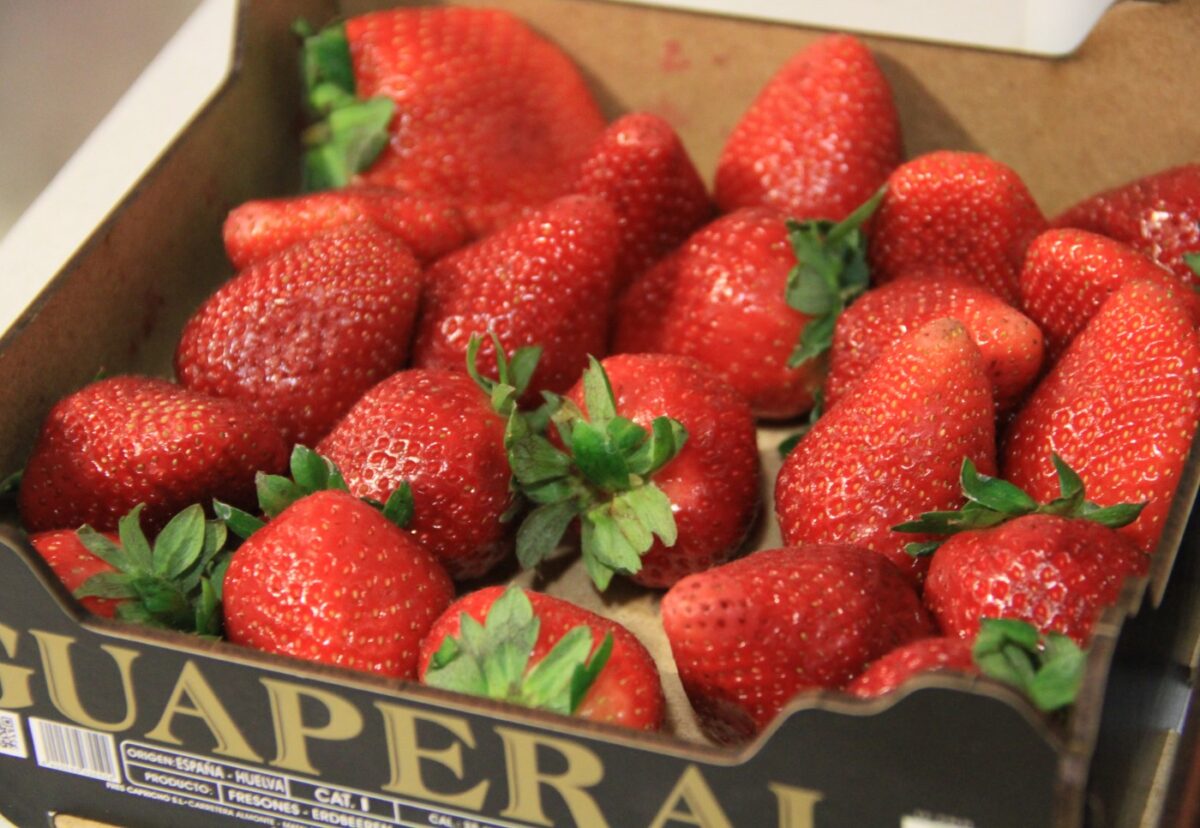 Clafoutis de fresas