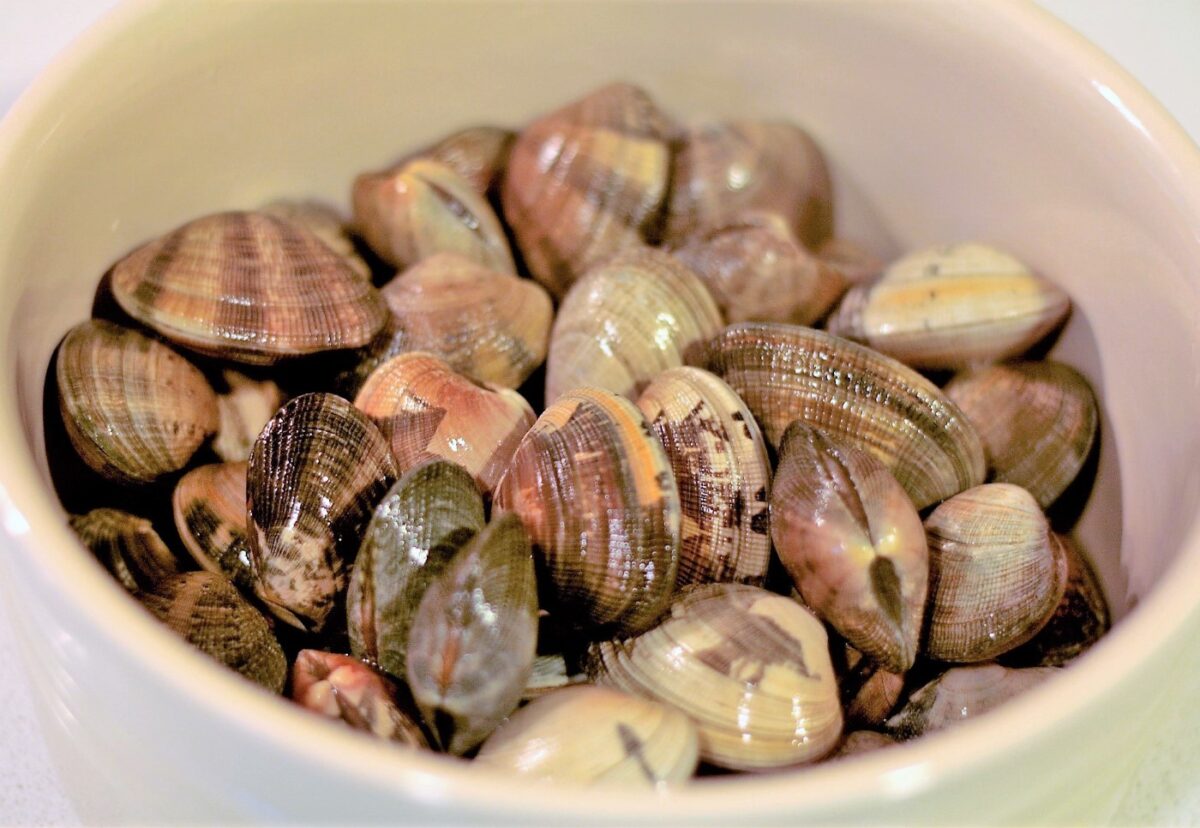 Fabes con almejas, receta tradicional asturiana