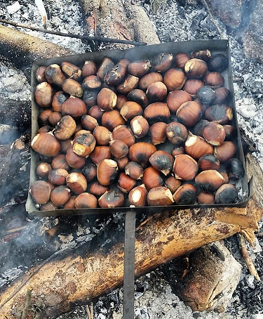Magostos. La fiesta de la castaña y el vino nuevo