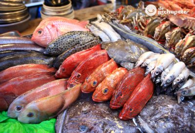 Pescado fresco