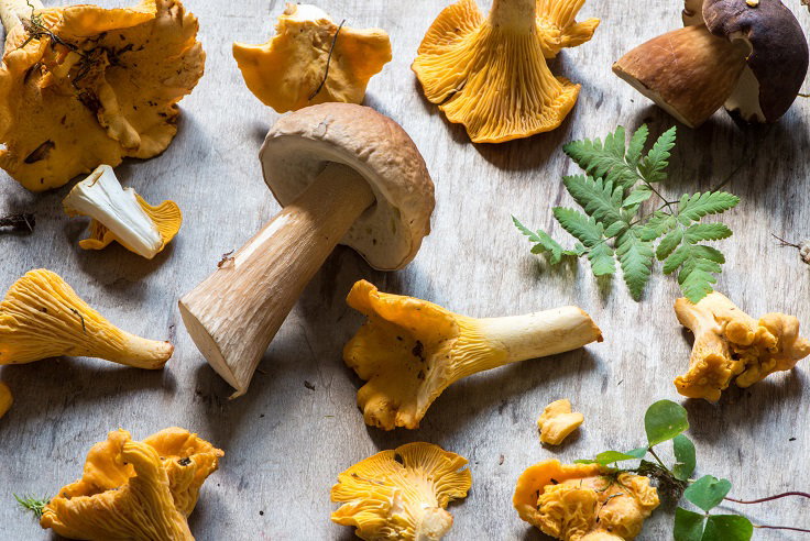 ¿cuáles son las verduras y hortalizas que os recomendamos este otoño?