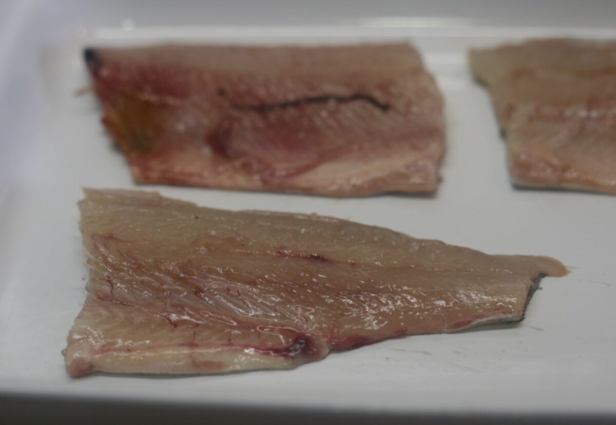 Milhojas de trucha con patatas y verduras