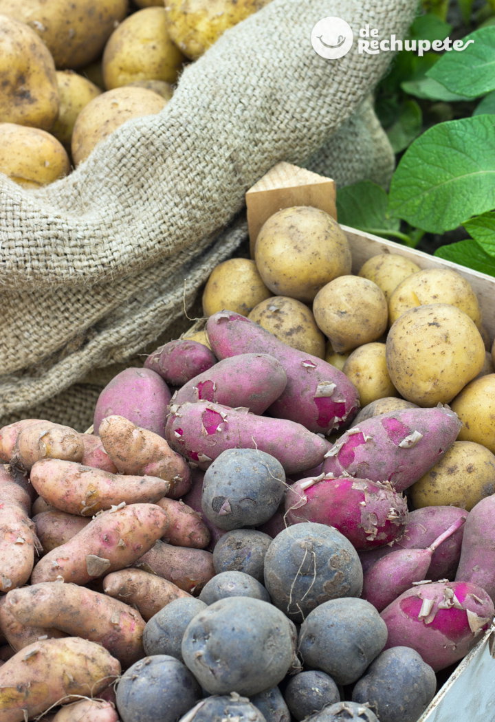 Patatas. Tipos y clases ¿Para qué se utiliza cada una?¿Cuál usar en tu receta?