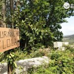 Furanchos. Una forma de comer y beber en Galicia