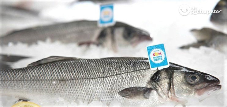 Acuicultura española. Crianza de Nuestros Mares