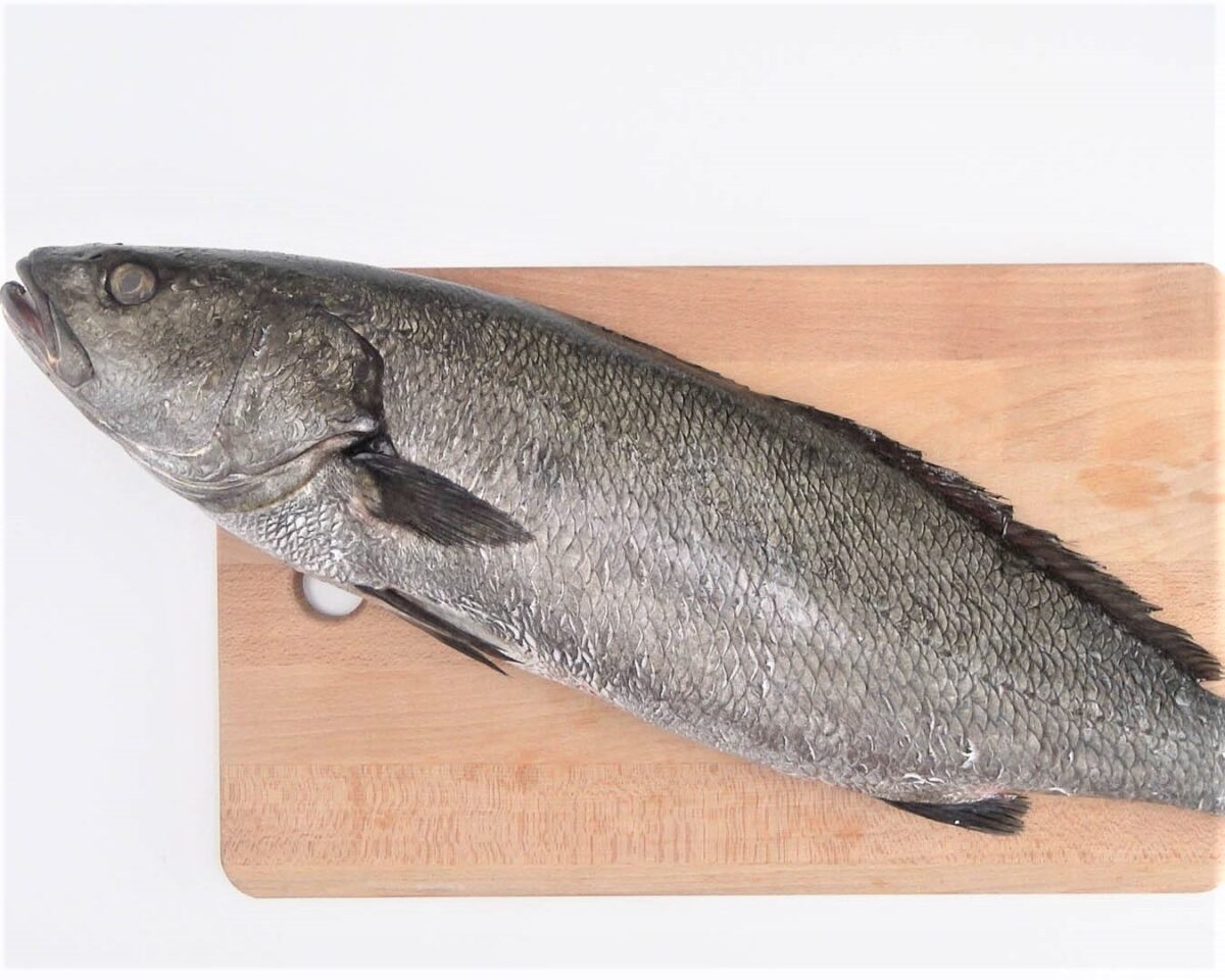 Corvina al ajillo
