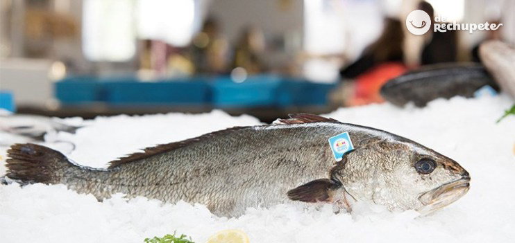 Acuicultura española. Crianza de Nuestros Mares