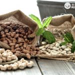 Legumbres. Clases, tipos, mitos, verdades y beneficios