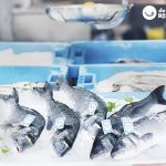 Acuicultura española. Crianza de Nuestros Mares