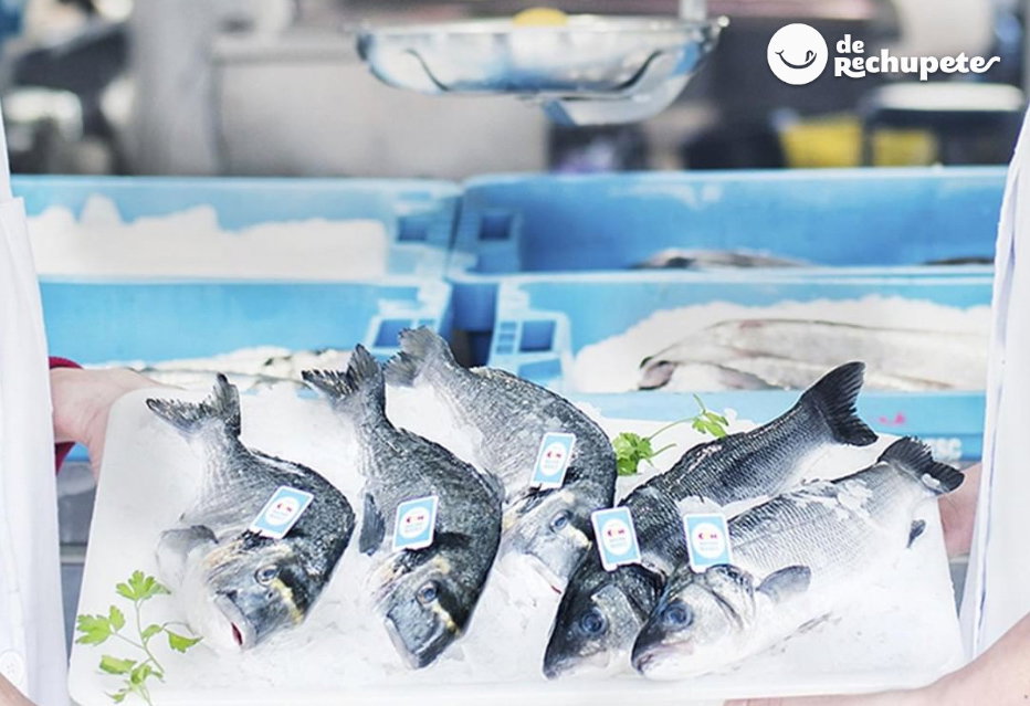 Acuicultura española. Crianza de Nuestros Mares
