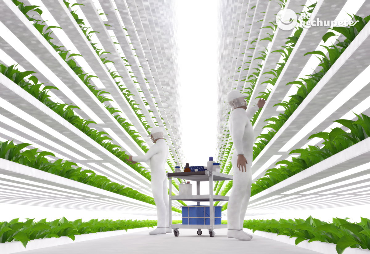 Alimentos del futuro. ¿Qué vamos a comer en unos años?