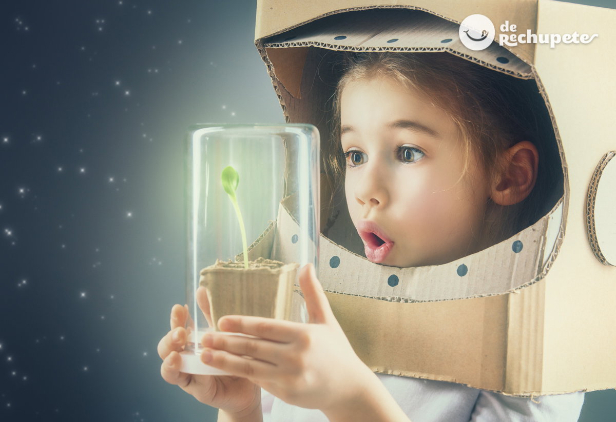 Alimentos del futuro. ¿Qué vamos a comer en unos años?