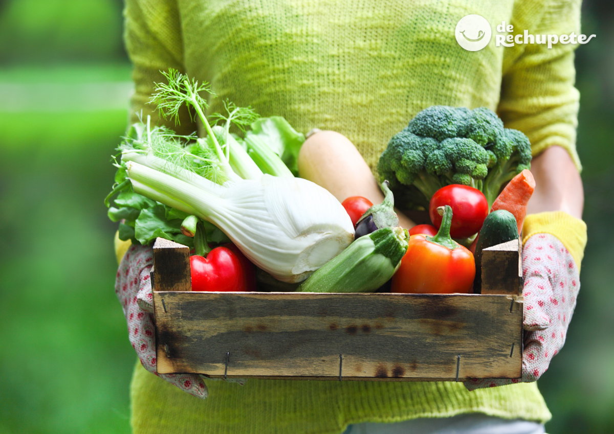 De la huerta a la mesa. cuídate con verduras y hortalizas