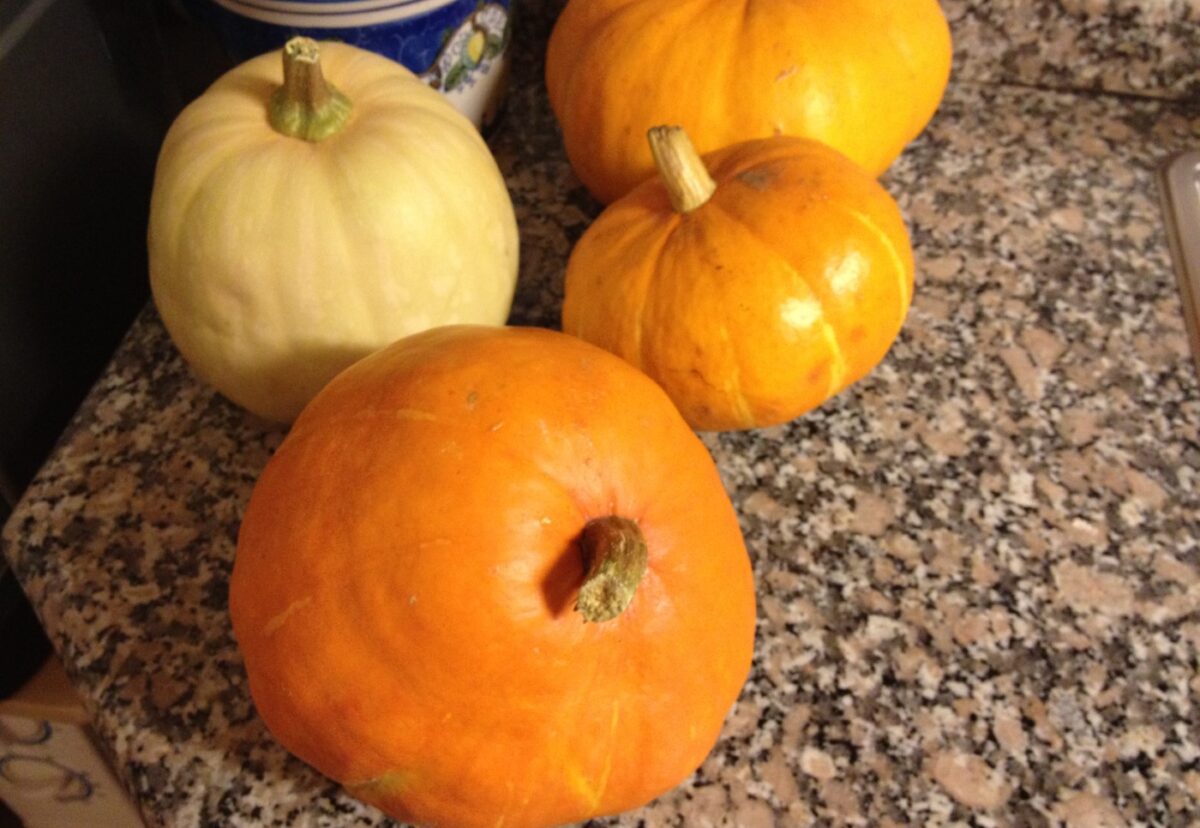 Codornices guisadas con calabaza y níscalos