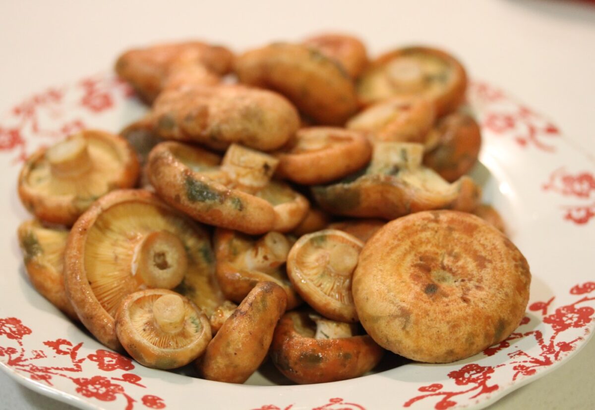 Codornices guisadas con calabaza y níscalos