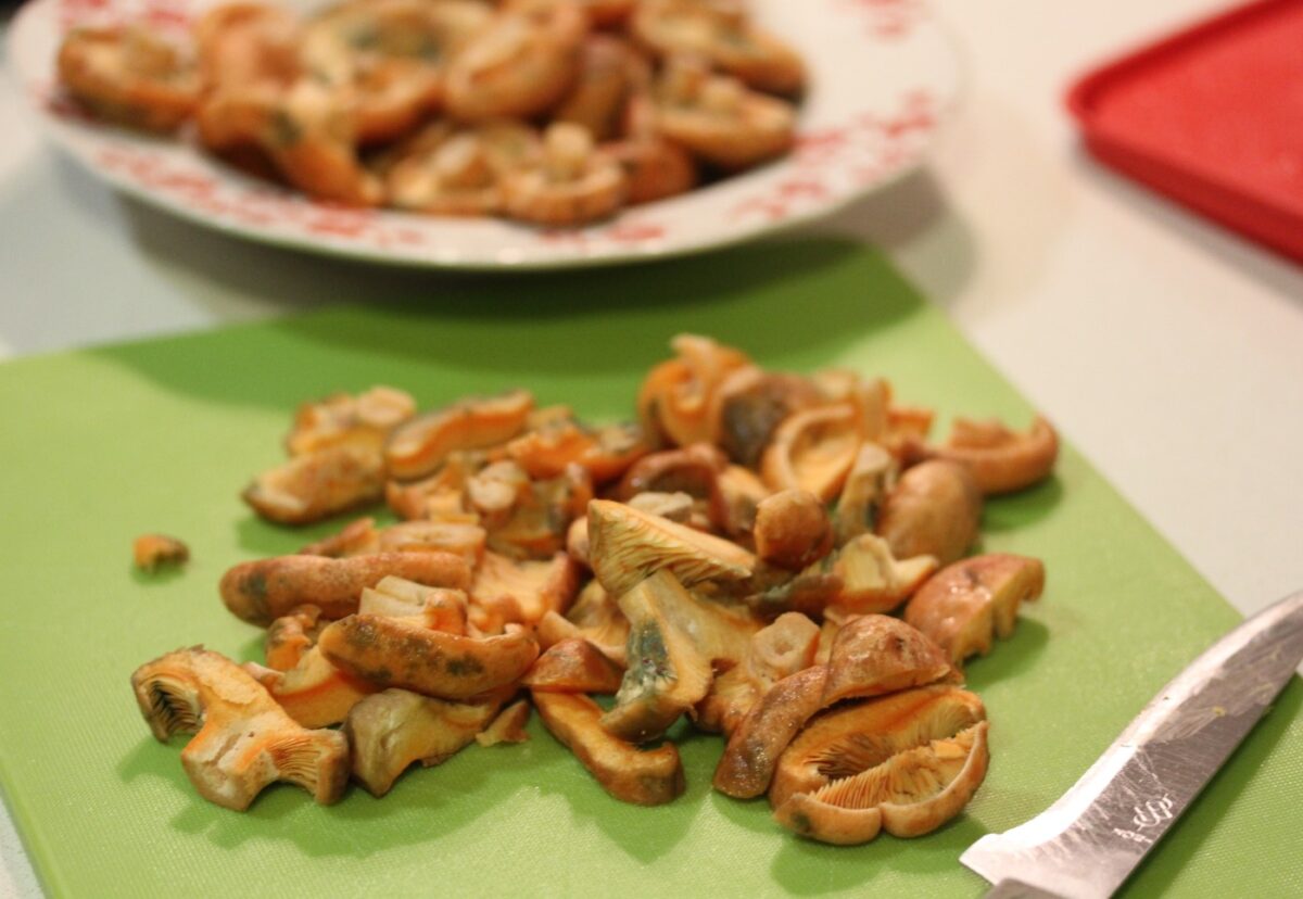 Codornices guisadas con calabaza y níscalos