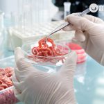 Carne in vitro. La carne del futuro ya está aquí