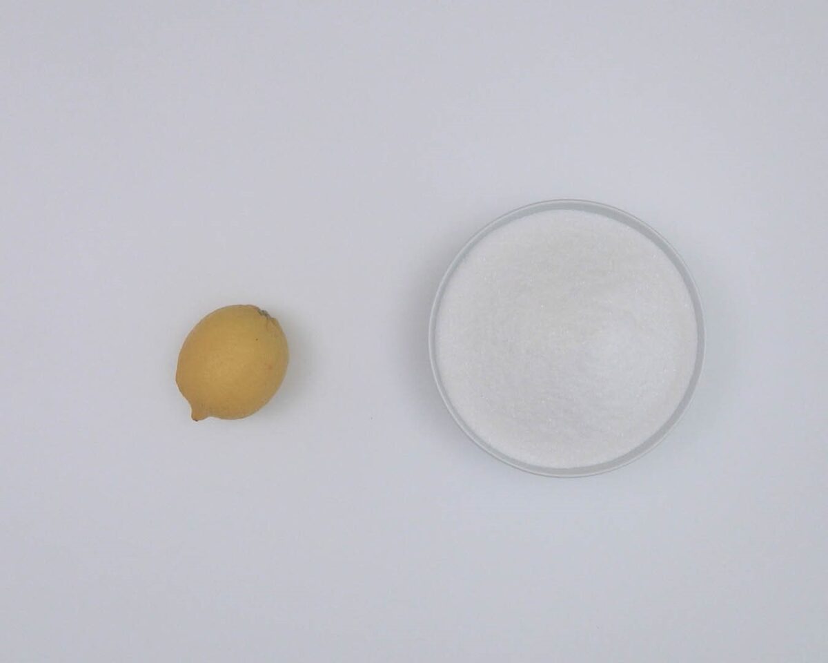 Dulce de manzana