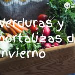 Verduras y hortalizas de invierno
