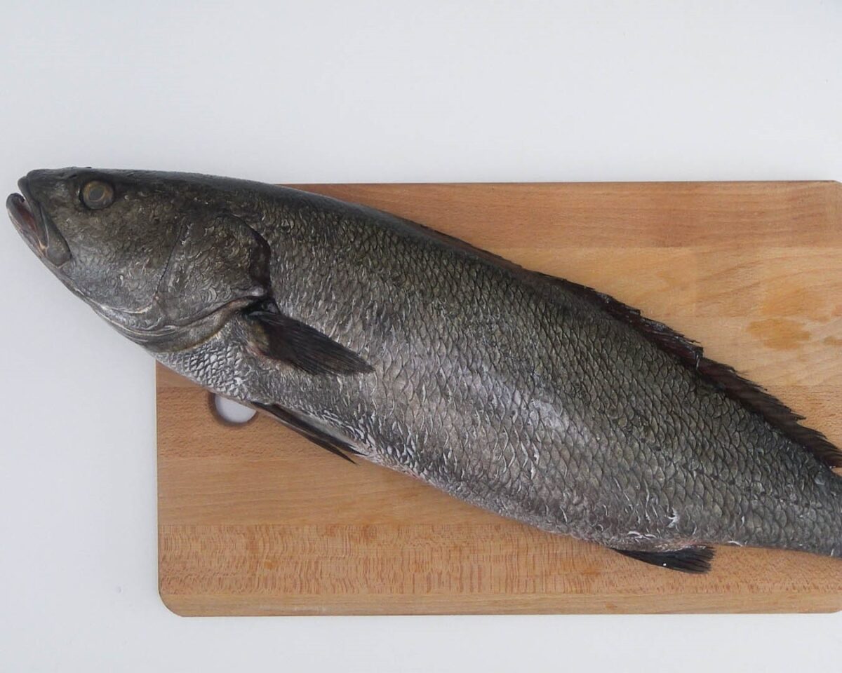 Corvina en salsa marinera