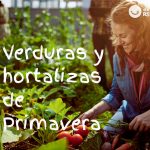 Las verduras y hortalizas de primavera que debes conocer