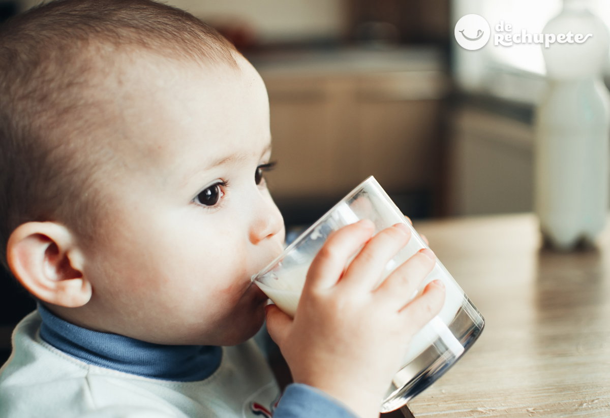 Leche de vaca. Mitos, verdades y mentiras sobre ella