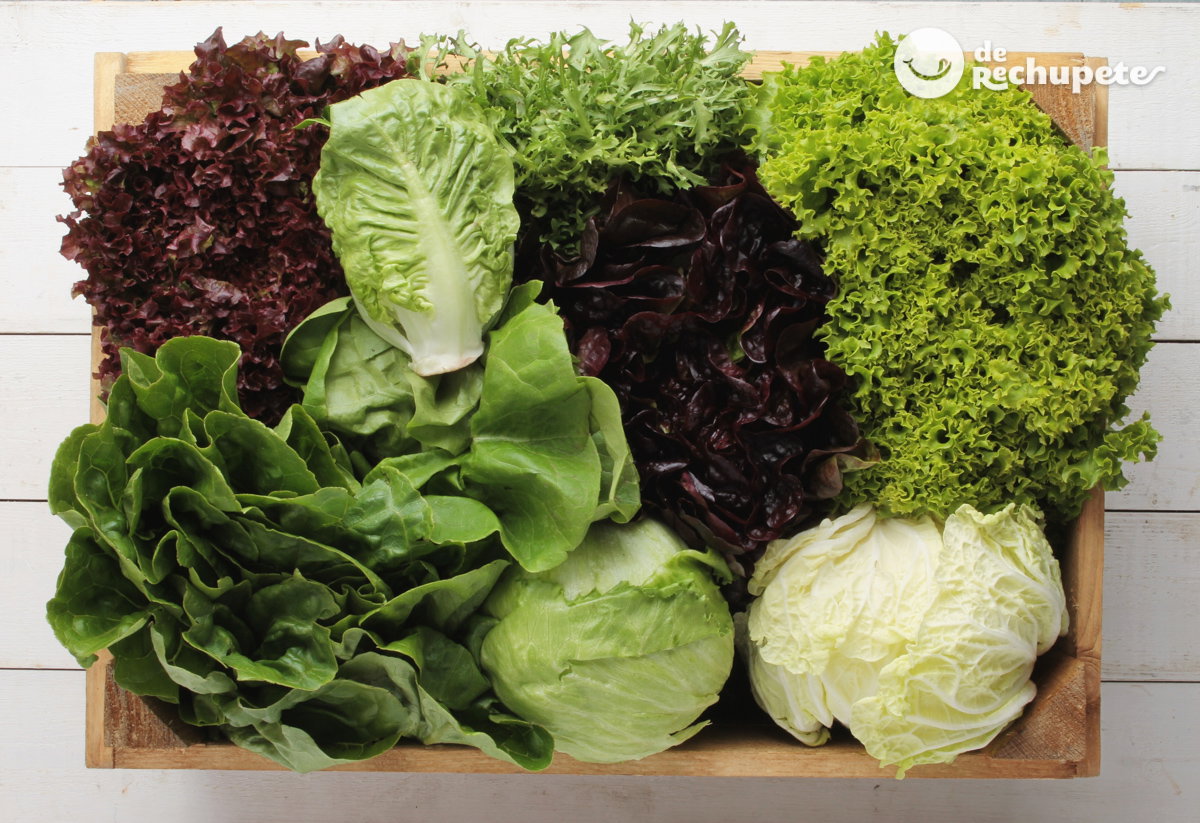 Verduras y hortalizas de verano