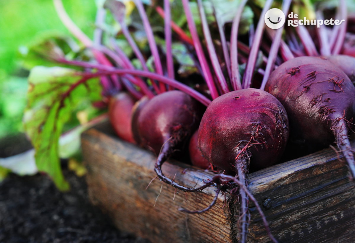 Verduras y hortalizas de invierno