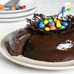 Mona de Pascua. Nido de chocolate