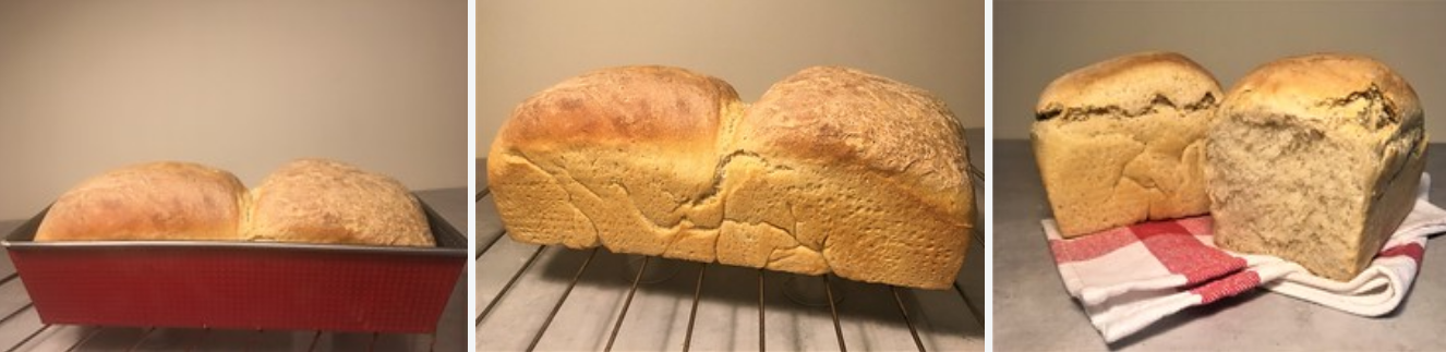 Pan de molde casero con masa madre