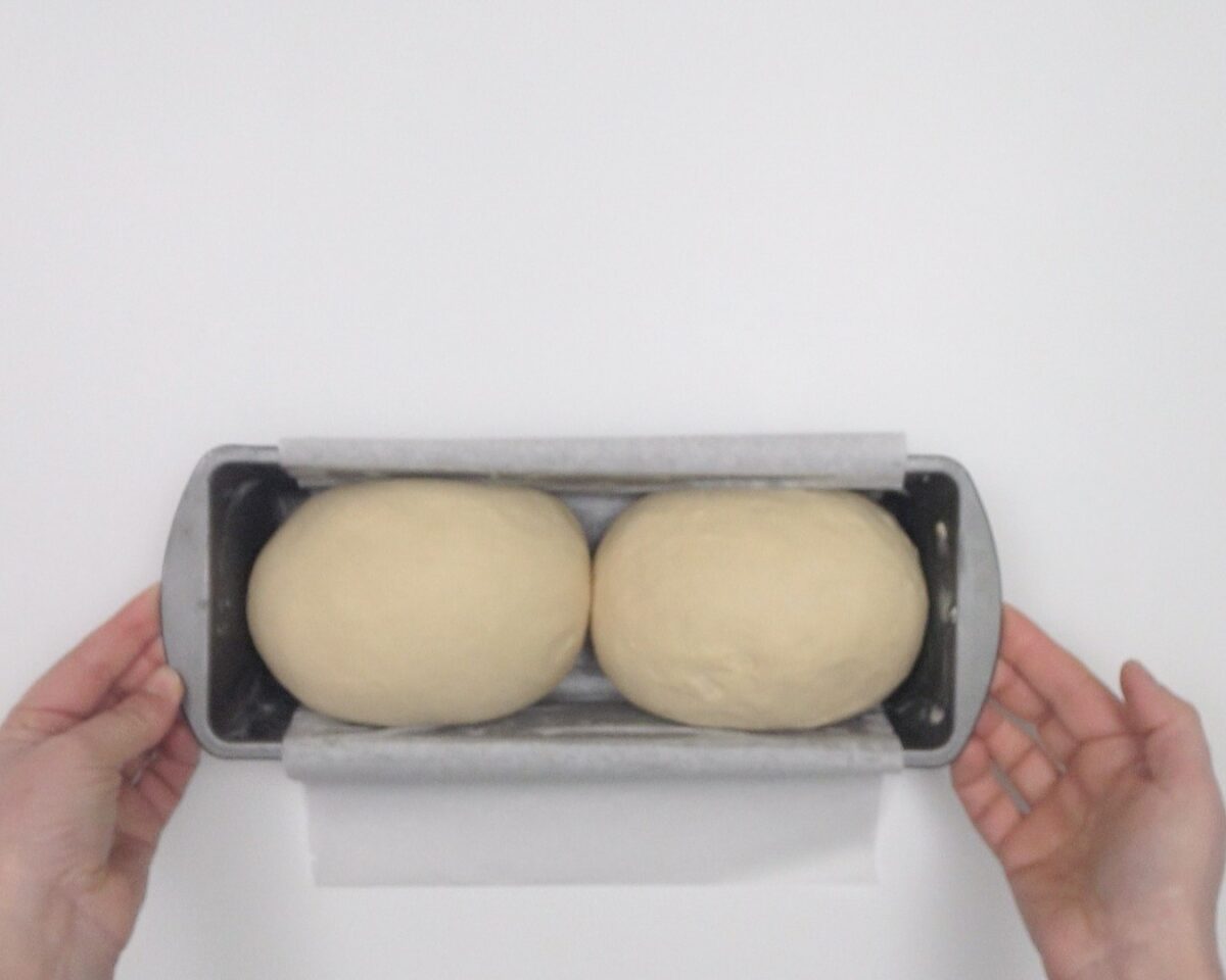 Pan de leche japonés